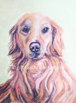 Golden Retriever Dog Pastel Painting