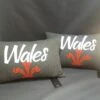 Prince Of Wales Feathers Cushion Grey -Handmade Gifts Shop IMG 2075