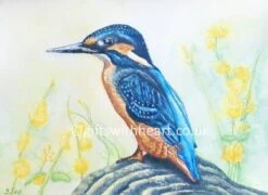 Kingfisher Painting