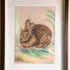 Hare Pastel Art Picture In Frame