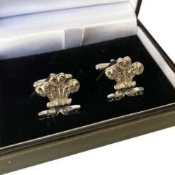 Prince Of Wales Feathers Cufflinks