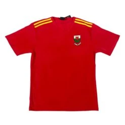 Welsh Football Shirt (Men)