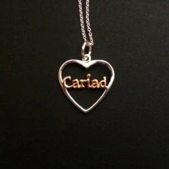 Cariad Heart Pendant And Necklace Silver And Rose Gold