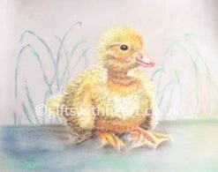 Duck Chick Painting