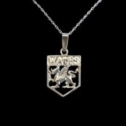 Welsh Dragon Shield Necklace
