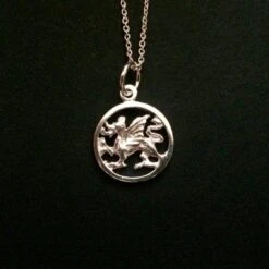 Dragon Necklace Silver