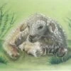 Original Welsh Lamb Pastel Picture -Handmade Gifts Shop welsh sheep lamb painitng