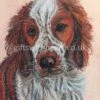 Welsh Terrier Dog Pastel Painting 1 Welsh Terrier Dog Pastel Painting -Handmade Gifts Shop welsh terrier pastel picture 1